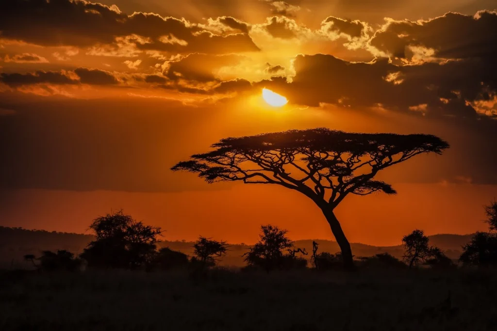 tendances d'externalisation en Afrique